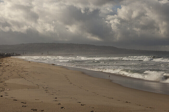 Several sets of footprints on beach