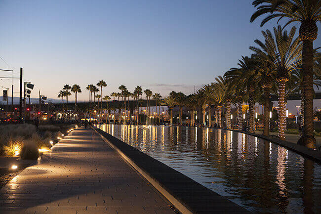Line of palm trees with lights at dusk